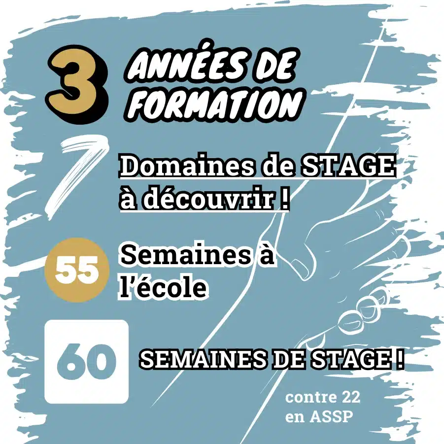 3 ans formation 7 domaines stage 55 semaines ecole 60 semain 1