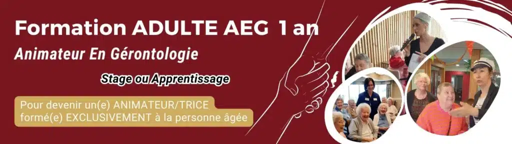 formation animateur trice en gerontologie stage ou apprentis 1